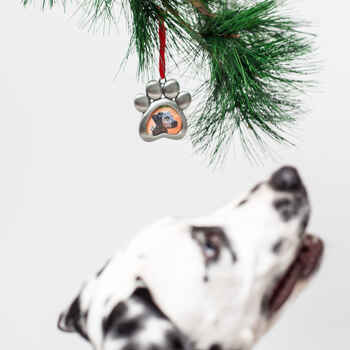 Pearhead Paw Print Pet Photo Ornament