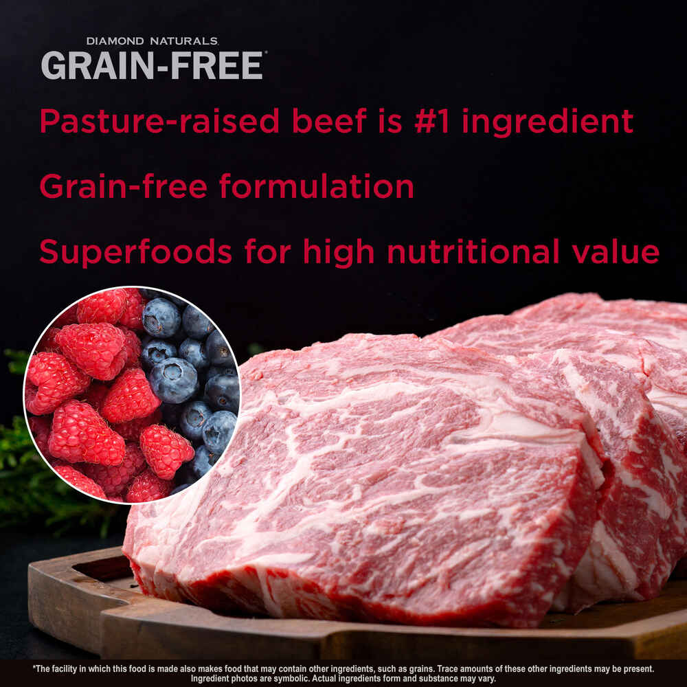 Diamond Naturals Grain-Free Pasture-Raised Beef & Sweet Potato Formula Dry Dog Food