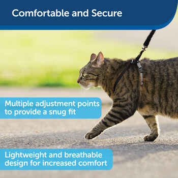 PetSafe Come With Me Kitty Cat Harness & Bungee Leash - Large - Black/Silver