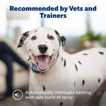 PetSafe Spray Bark Control Training Collar 