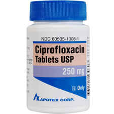 Ciprofloxacin 250 mg (sold per tablet)-product-tile