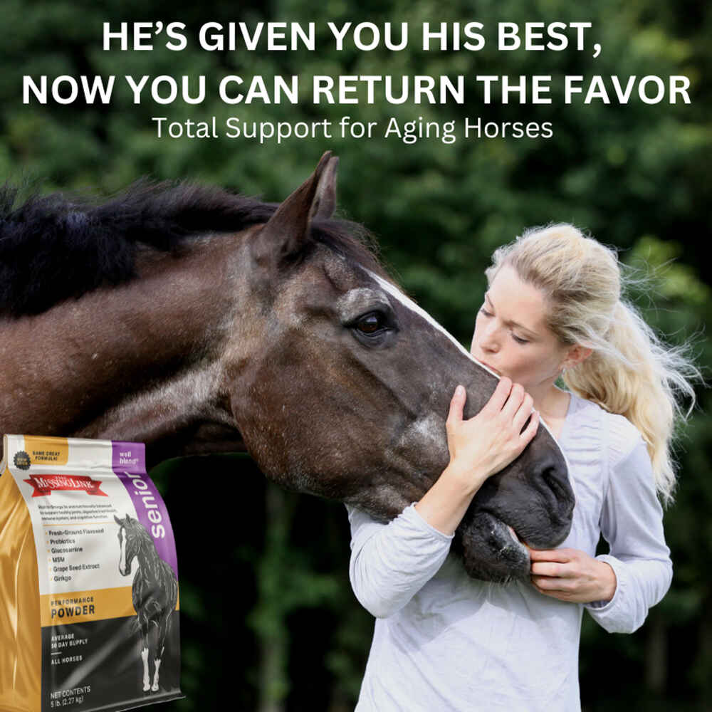 The Missing Link Well Blend® Senior Equine Supplement Powder