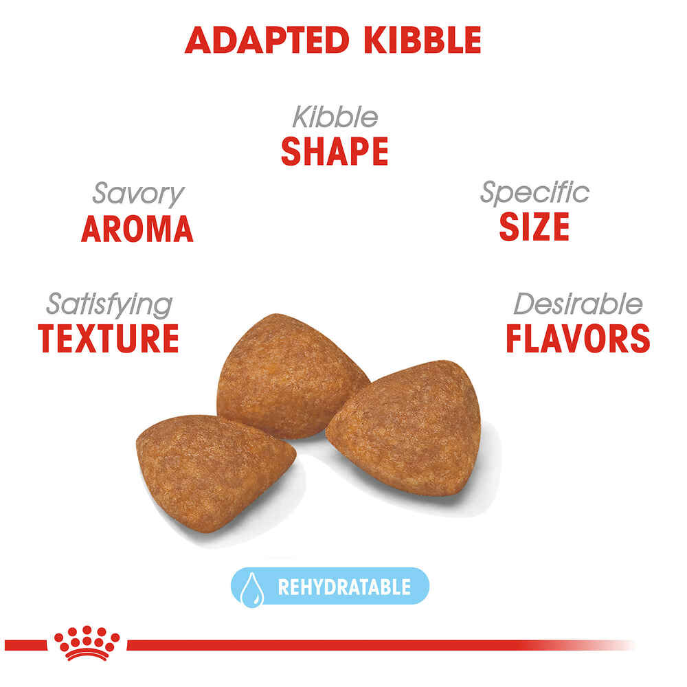 Royal Canin Size Health Nutrition X-Small Breed Aging 12+ Dry Dog Food