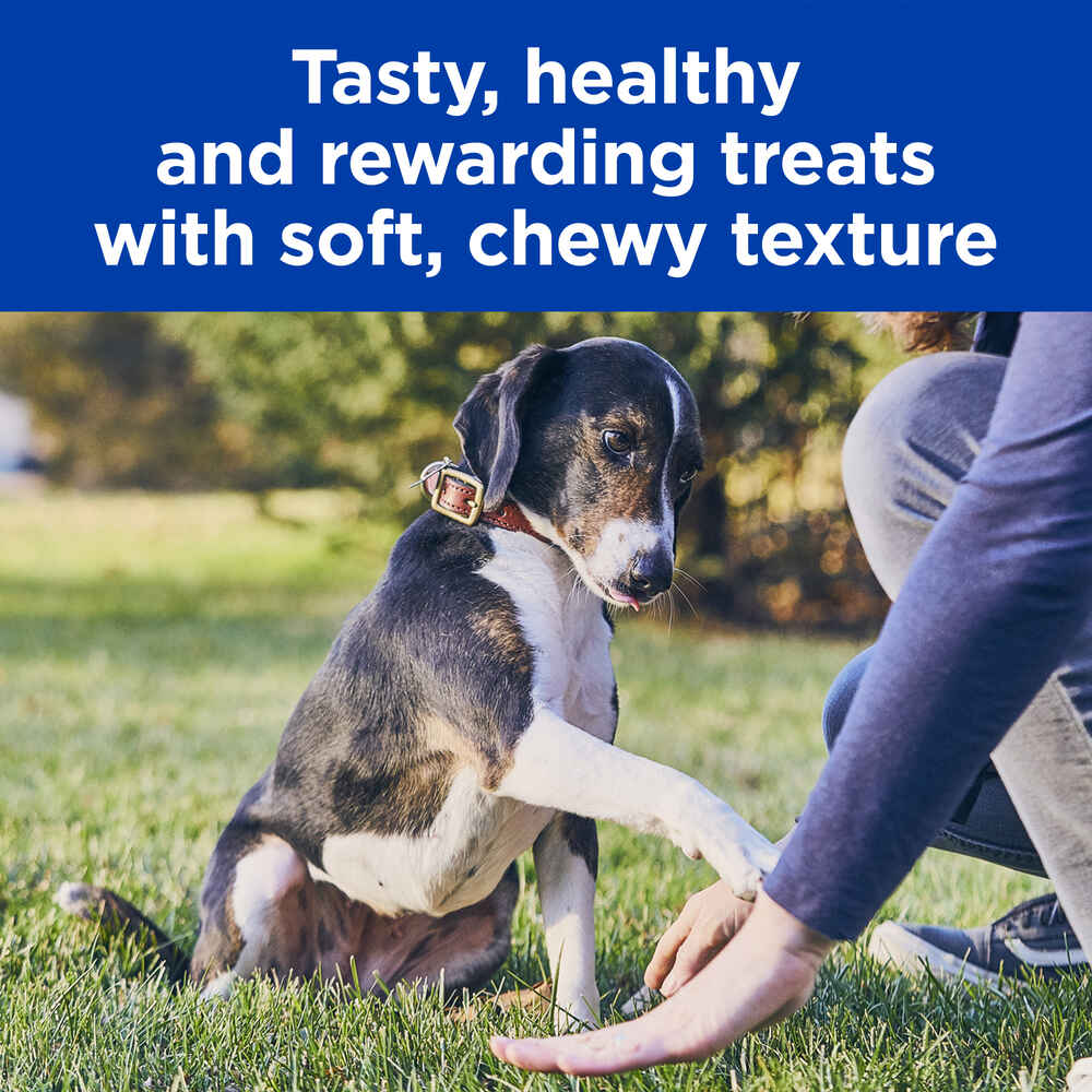 Hill's Prescription Diet Soft Baked Dog Treats