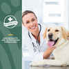 NaturVet Hemp Joint Health Plus Hemp Seed Supplement for Dogs Soft Chews 120 ct