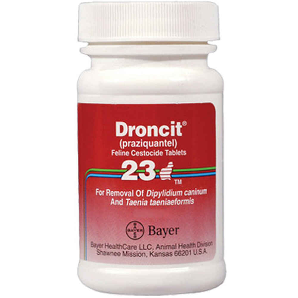 Droncit Spot On Tapewormer For Cats 4 Per Pack At Fetch Co Uk The Online Pet Store