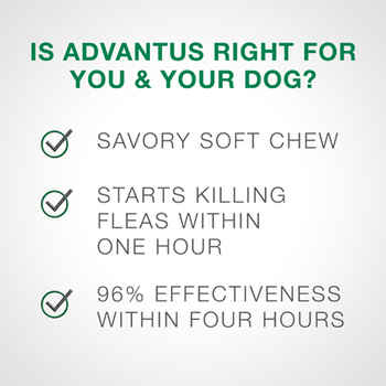 Advantus Oral Flea Treatment Soft Chews for Dogs 37.5 mg 30 ct