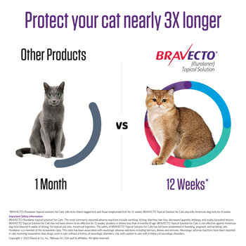 Bravecto for Cats 2.6-6.2 lbs 1 dose