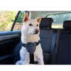 CarSafe Dog Travel Harness Black X-Small