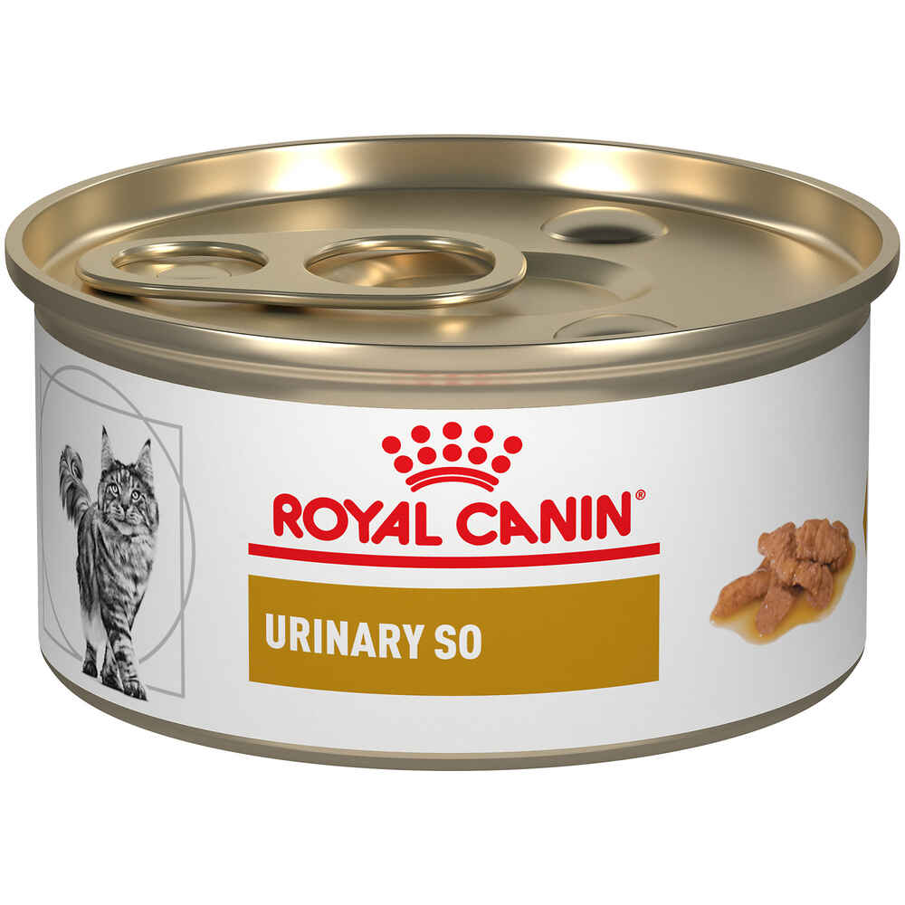 Royal Canin Veterinary Diet Feline Urinary SO Morsels In Gravy Wet Cat Food