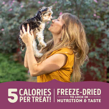 ACANA Lamb & Apple Freeze-Dried Dog Treats 1.25 oz Bag