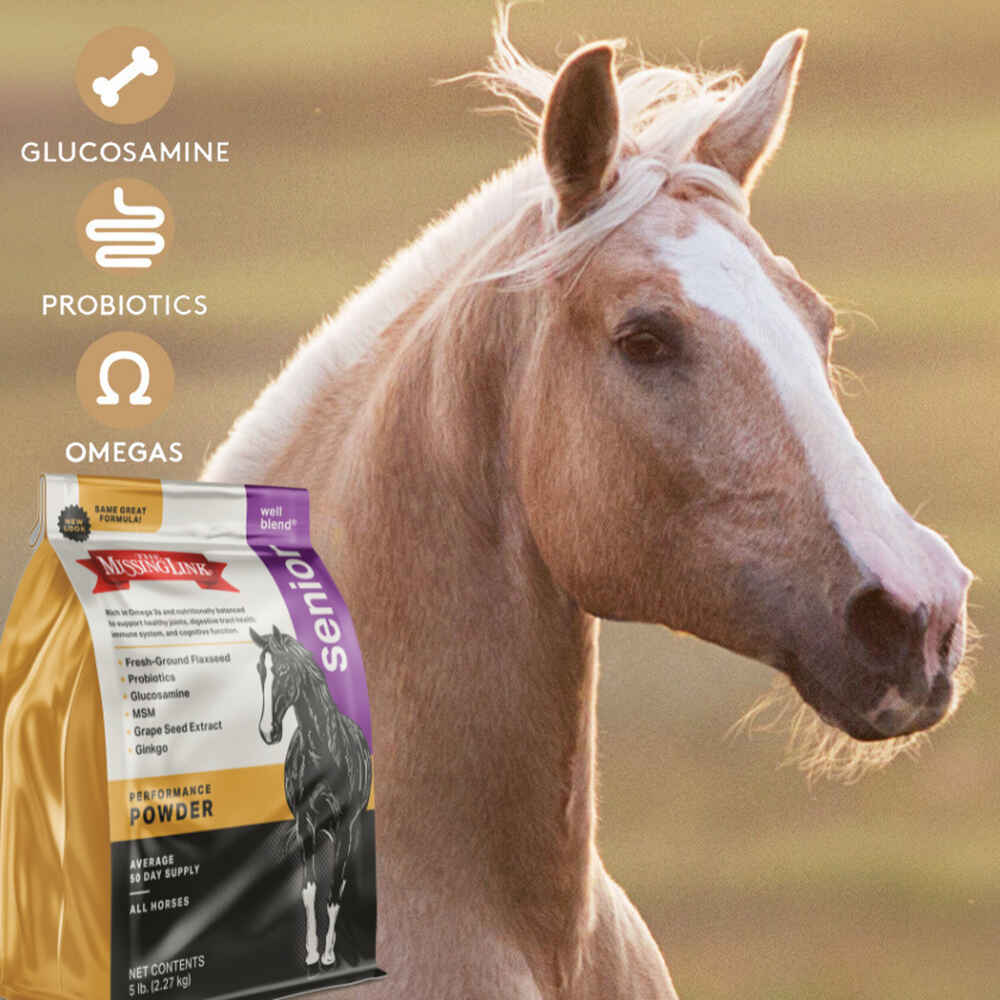 The Missing Link Well Blend® Senior Equine Supplement Powder