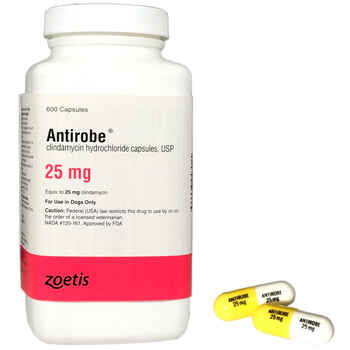 Antirobe 25 mg (sold per capsule) product detail number 1.0