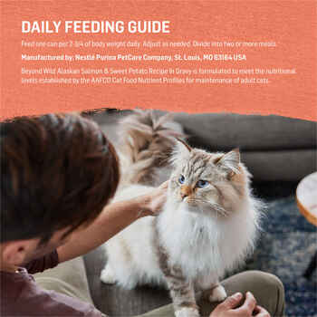 Purina Beyond Wild Alaskan Salmon & Sweet Potato Recipe in Gravy Wet Cat Food 3 oz Can - Case of 12