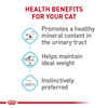 Royal Canin Feline Care Nutrition Urinary Care Thin Slices in Gravy Adult Wet Cat Food - 3 oz Cans - Case of 24