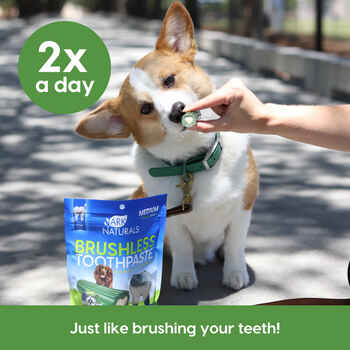 Ark Naturals Brushless Toothpaste Dental Chews Medium, 20-40lbs