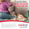 Bravecto for Cats 2.6-6.2 lbs 1 dose