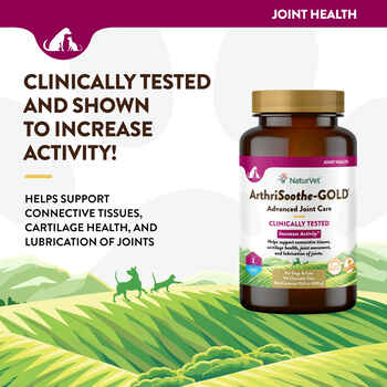 NaturVet ArthriSoothe-GOLD Level 3, Clinically Tested Advanced Joint Care Supplement for Dogs and Cats Time Release, Chewable Tablets 90 ct