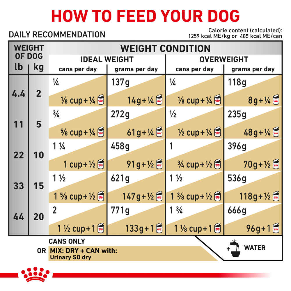 Royal Canin Veterinary Diet Canine Urinary SO Moderate Calorie Thin Slices in Gravy Wet Dog Food