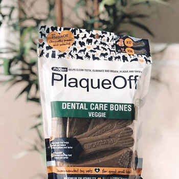 ProDen PlaqueOff System Dental Care Bones with Veggie Flavor for Dogs