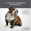 Diamond Care Adult Weight Management Formula Dry Dog Food - 8 lb Bag