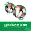 TropiClean Fresh Breath Clean Teeth Gel - Peanut Butter for Dog