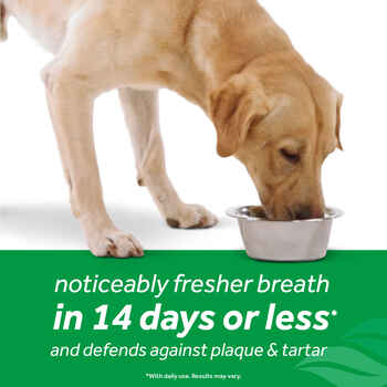 TropiClean Fresh Breath Water Additive Plus Hip and Joint for Dogs 16 oz