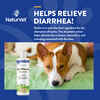 Naturvet Anti-Diarrhea Plus Kaolin For Dogs & Cats 8oz