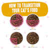 Weruva BFF Tuna & Turkey Tickles Recipe Pouches Wet Cat food 12 3-oz Packs