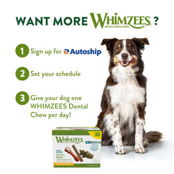 Whimzees® Stix All Natural Daily Dental Treat for Dogs