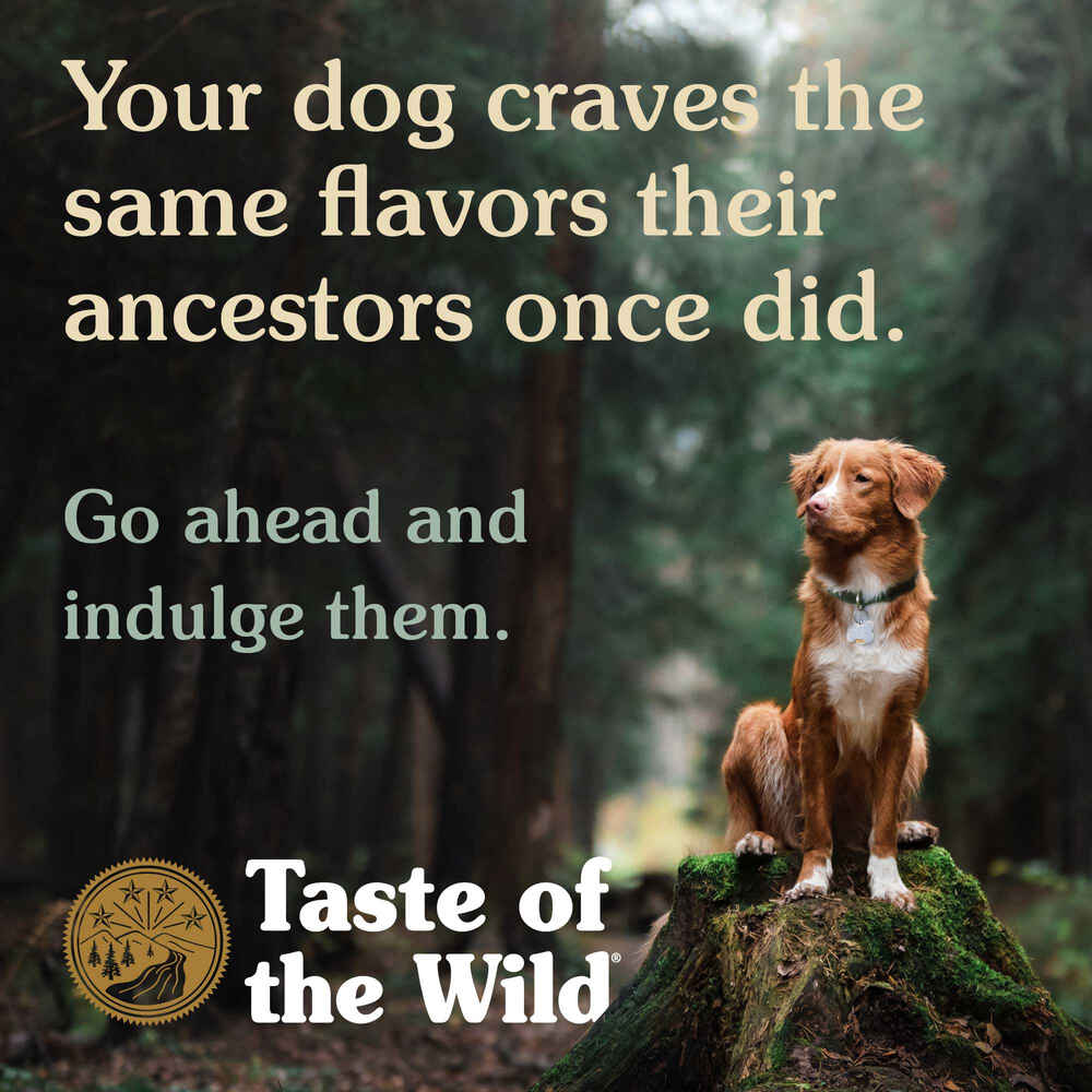 Taste of the Wild Southwest Canyon Canine Recipe Beef Wet Dog Food