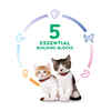 Hill's Science Diet Kitten Liver & Chicken Entrée Wet Cat Food - 2.9 oz Cans - Case of 24 