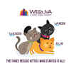 Weruva Cats In the Kitchen Mack Jack and Sam Cat Pouches Wet For Cats