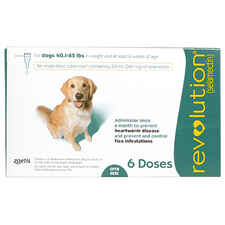 Revolution 6pk Dog 40.1-85 lbs-product-tile