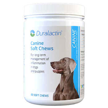 Duralactin Canine Soft Chews 60 ct product detail number 1.0