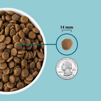 ACANA Freshwater Fish Recipe Grain-Free Dry Dog Food 4.5 lb Bag