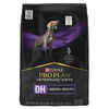 Purina Pro Plan Veterinary Diets DH Dental Health Canine Formula Dry Dog Food - 16.5 lb. Bag