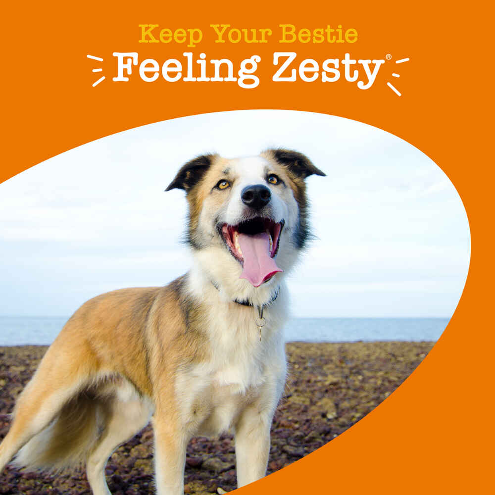 Zesty Paws 8-in-1 Multivitamin Bites Soft Chew Supplement for Dogs