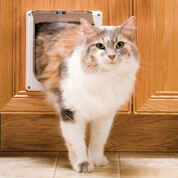 PetSafe 2-Way Interior Locking Cat Door