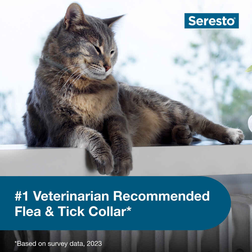 Seresto for Cats