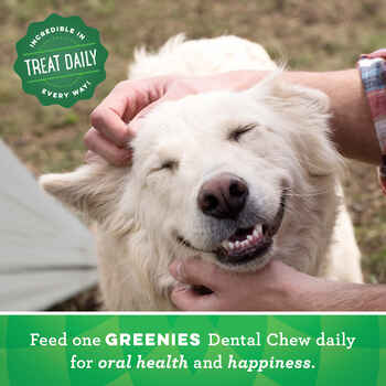 GREENIES Original TEENIE Natural Dental Dog Treats - 27 oz. Pack (96 Treats)