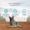 Blue Buffalo BLUE Wilderness Wild Bones Dental Chew Dog Treats Large - 10 oz Bag