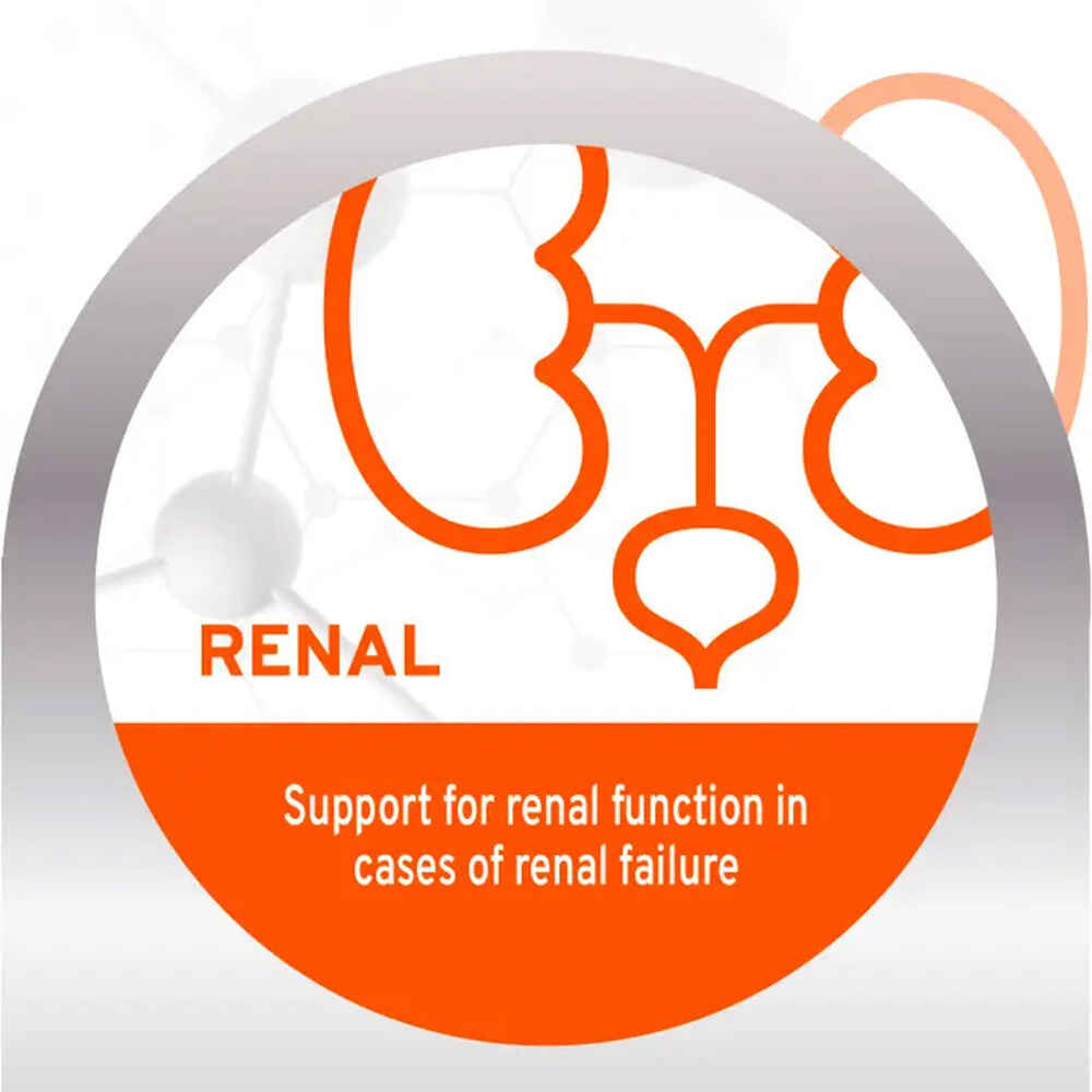 Forza10 Nutraceutic Active Kidney Renal Support Diet Dry Cat Food