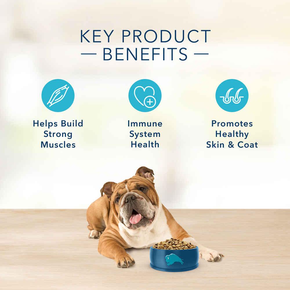 Blue Buffalo BLUE Basics Adult Skin & Stomach Grain-Free Salmon and Potato Recipe Dry Dog Food