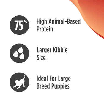 Nulo FreeStyle Puppy Large Breed Grain-Free Salmon and Turkey Dry Dog Food 24 lb Bag