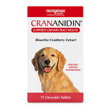 Nutramax Crananidin Cranberry Extract Urinary Tract Health Supplement for Dogs 75 Chewable Tablets-product-tile