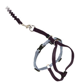 PetSafe Come With Me Kitty Cat Harness & Bungee Leash - Large - Black/Silver product detail number 1.0