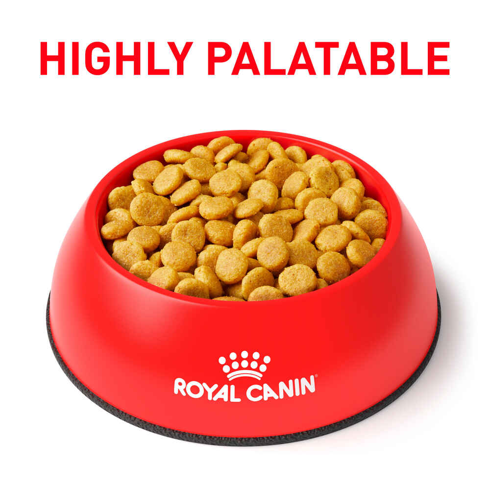 Royal Canin Veterinary Diet Canine Urinary UC Dry Dog Food