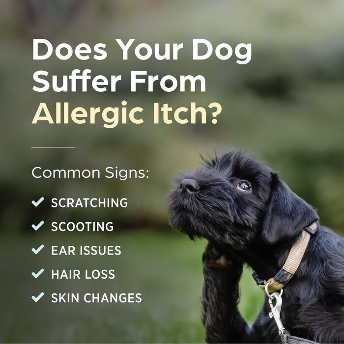 Bundle: Apoquel + Greenies Pill Pockets - Skin & Coat Bundle for Dogs product detail number 1.0