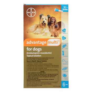 Advantage Multi 6pk Dogs 9-20 lbs product detail number 1.0